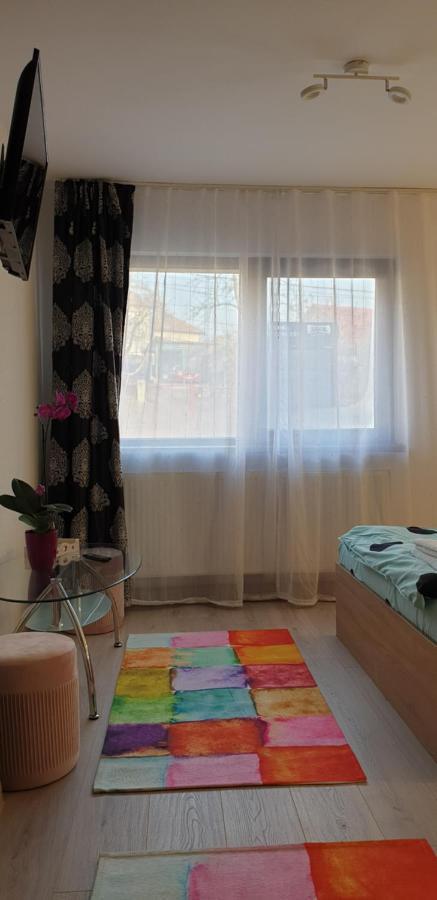 דירות Casa Ana Cluj מראה חיצוני תמונה