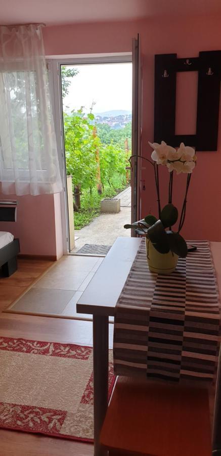 דירות Casa Ana Cluj מראה חיצוני תמונה